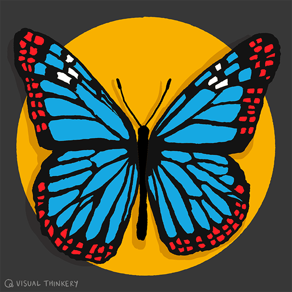 Morpho