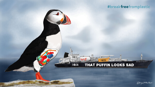 Puffin